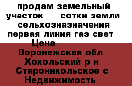 продам земельный участок 432 сотки земли сельхозназначения первая линия газ свет › Цена ­ 300 000 - Воронежская обл., Хохольский р-н, Староникольское с. Недвижимость » Земельные участки продажа   . Воронежская обл.